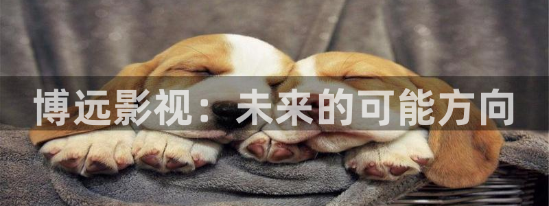 窝窝影院桃色：博远影视：未来的可能方向