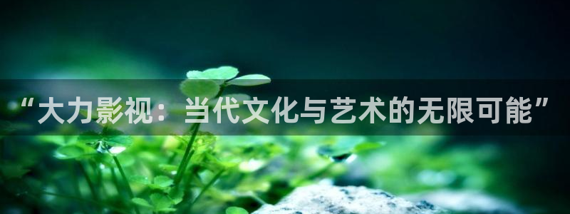 窝窝影院在线播放免费观：“大力影视：当代文化与艺术的无限可能”