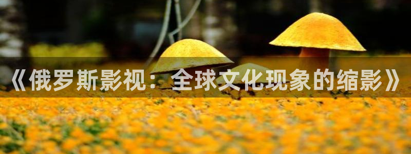 窝窝视频网：《俄罗斯影视：全球文化现象的缩影》