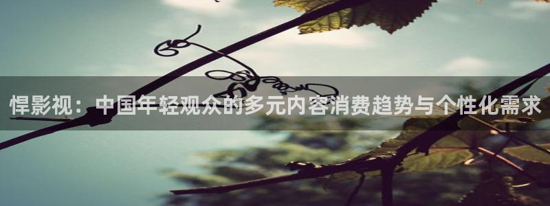 窝窝影院色老头网站：悍影视：中国年轻观众的多元内容消费趋势与个性化需求