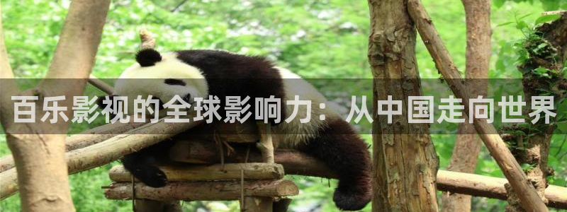 午夜窝窝影院：百乐影视的全球影响力：从中国走向世界