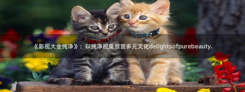 窝窝在线观看免费高清