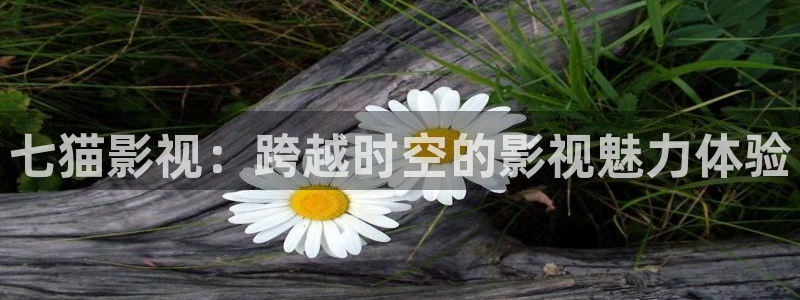 窝窝在线观看免费播放电视剧大全