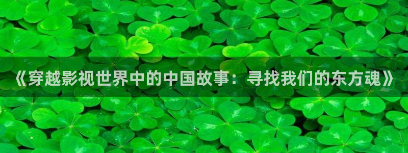 窝窝电视剧免费大全