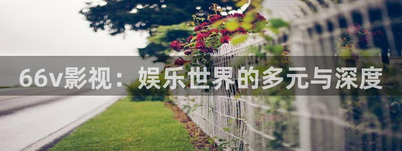 窝窝网免费看电视剧全集：66v影视：娱乐世界的多元与深度