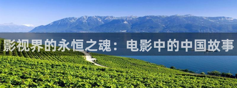 窝窝影院在线观看视频