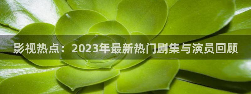 窝窝影院在线观看电视剧：影视热点：2023年最新热门剧集与演员回顾