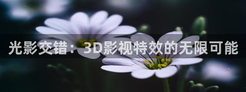 窝窝电视剧电影：光影交错：3D影视特效的无限可能